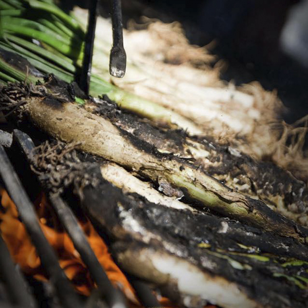 05.01-Asador la Vaqueria - Valencia. Bariando. Imagen01