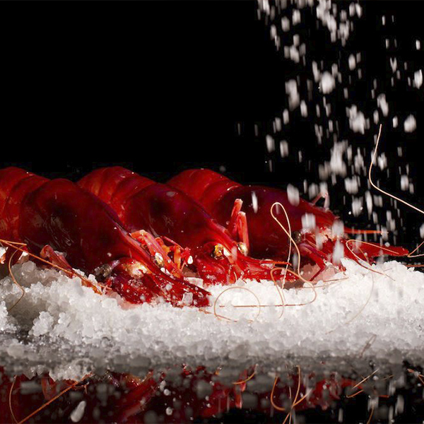 05.02-latabernadelgourmet - Valencia. Bariando. Imagen06